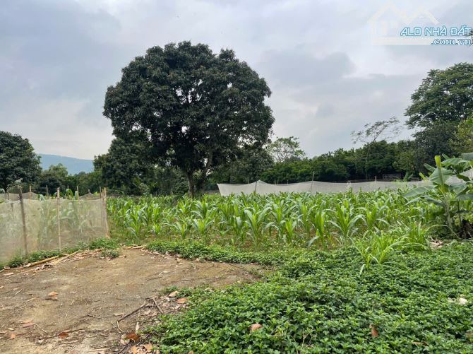 Cần bán 1568m2/200m2 ONT tại Cư Yên - Lương Sơn. Giá chưa đến 3tr/m2. Gần hồ Khoáng Bưởi - 13