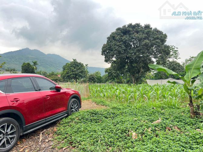 Cần bán 1568m2/200m2 ONT tại Cư Yên - Lương Sơn. Giá chưa đến 3tr/m2. Gần hồ Khoáng Bưởi - 17