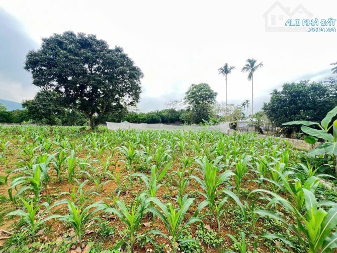 Cần bán 1568m2/200m2 ONT tại Cư Yên - Lương Sơn. Giá chưa đến 3tr/m2. Gần hồ Khoáng Bưởi - 18