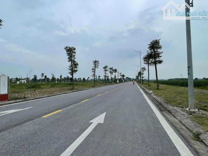 Bán Đất Khu Đô Thị Đức Giang, Xã Đức Giang, Tỉnh Bắc Ninh, Diện Tích 90m2 - 131m2. - 2