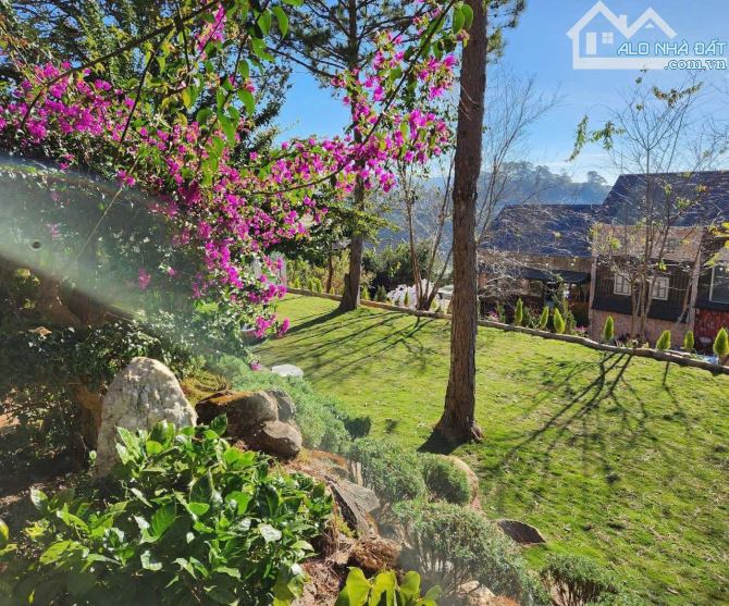 📌105 Tỷ- Biệt thự MT đường Khởi Nghĩa Bắc Sơn, P10, TP Đà Lạt- 1.400m2 -view đồi thông📌 - 2
