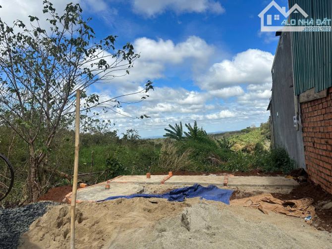 Đất đầu tư - 230m2 đất thổ cư phường Tân Lợi, 6x41m giá thị trường 2 tỷ 5 - 2