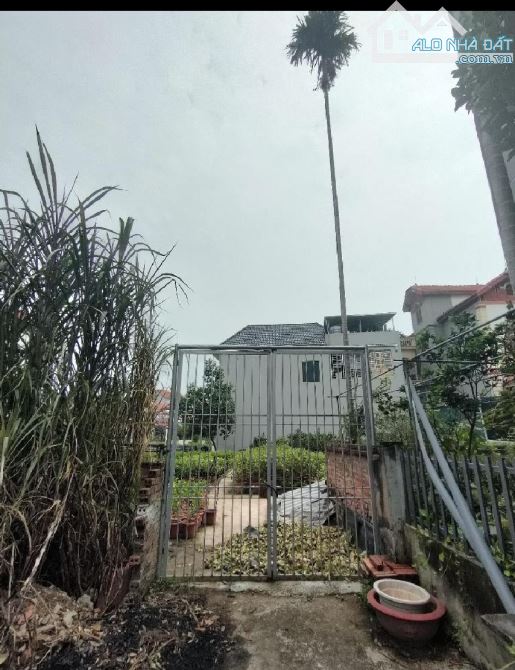 4.6 Tỷ/98 M2/6.4 M tiền/ Phụng Công. Văn Giang - 2