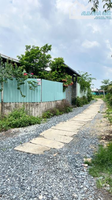 • Bán Đất trồng Cây lâu năm DT 754m2, có đường xe chạy đến đất, thuộc xã Hiệp Phước. - 2