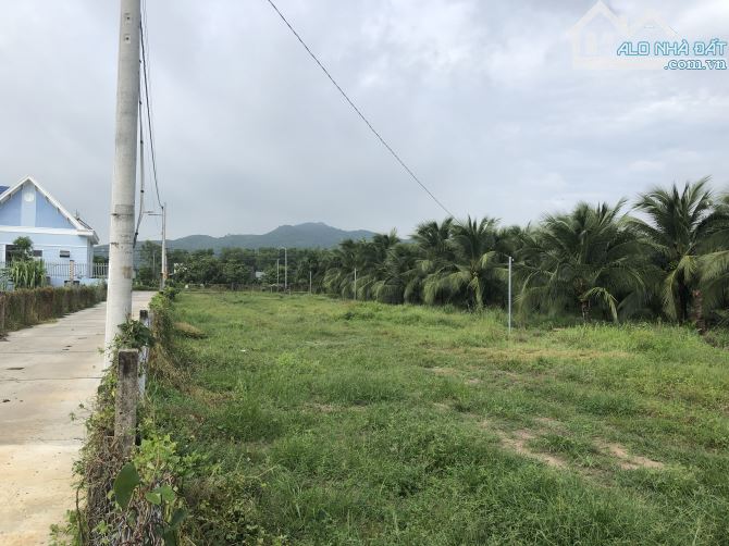 Phước Hải-dt:1300m2-góc 2 mặt tiền-15m nhựa và 93m bê tông, đất cây lâu năm, giá 3tyx - 3