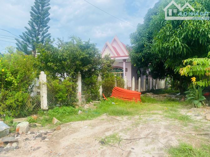 5x47(263m2) Nguyễn Văn Tỗi Trung Tâm LaGi Kinh Doanh Đa Ngành Nghề - 3