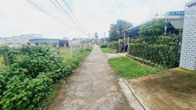 bán đất thổ cư phường phước hội, lâm đồng. gần dự án 577, DT 195m2 - 1,1 tỷ - 3