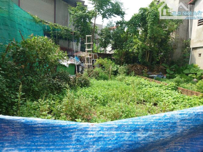Tìm đâu ra 100m2 đất Đại Đồng Đại Mạch, ngõ thông Ô tô tránh, giá đầu tư - 3