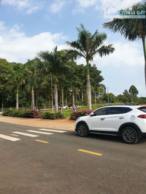 BÁN LÔ ĐẤT GIÁ RẺ CHỈ 980TR – CƠ HỘI VÀNG CHO NHÀ ĐẦU TƯ - 3