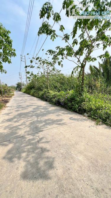 • Bán Đất trồng Cây lâu năm DT 754m2, có đường xe chạy đến đất, thuộc xã Hiệp Phước. - 3
