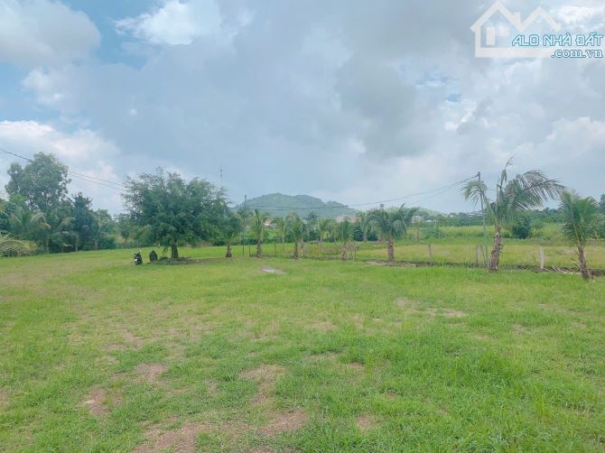Bán khoảng 3 sào (3084m2) đất xã Suối Nghệ, huyện Châu Đức, BRVT. - 3
