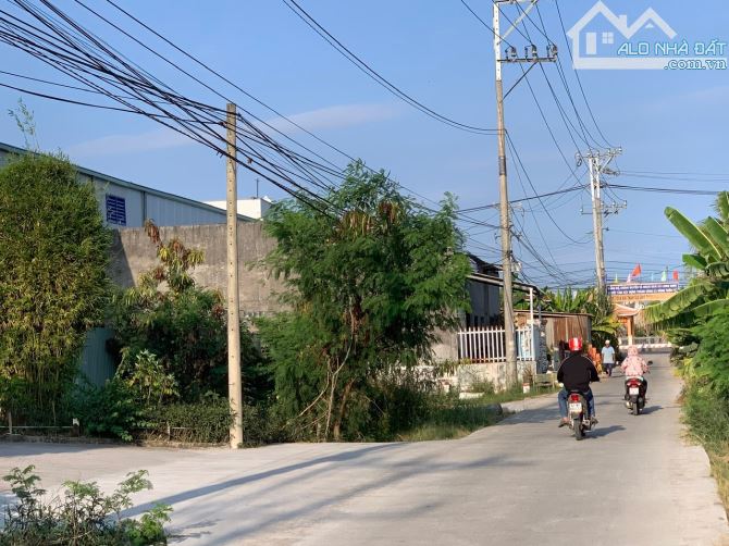 Đất nông nghiệp 2000m2, đường DT830, đối diện UBND xã Long Định (cũ) - 4