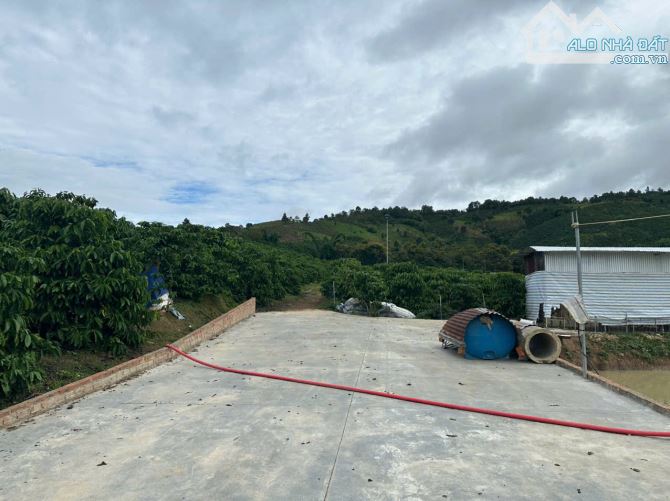 Bán 21000m2 đất nhà ao vườn suối chảy ngang xã liên hiệp đức trọng lâm đồng 12 tỷ - 5