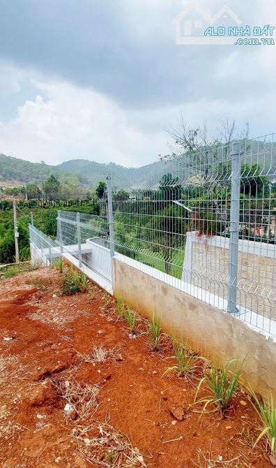 Lô đất nghỉ dưỡng, xây biệt thự, home có view rừng thông xanh, khí hậu mát mẻ ngay thu phí - 5