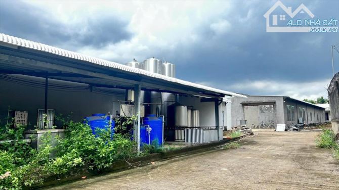 Giá 75 tỷ TL. Bán nhà xưởng Trảng Bom, Đồng Nai. DT 40.000m². Đất SKC..SD 11/2068. - 6