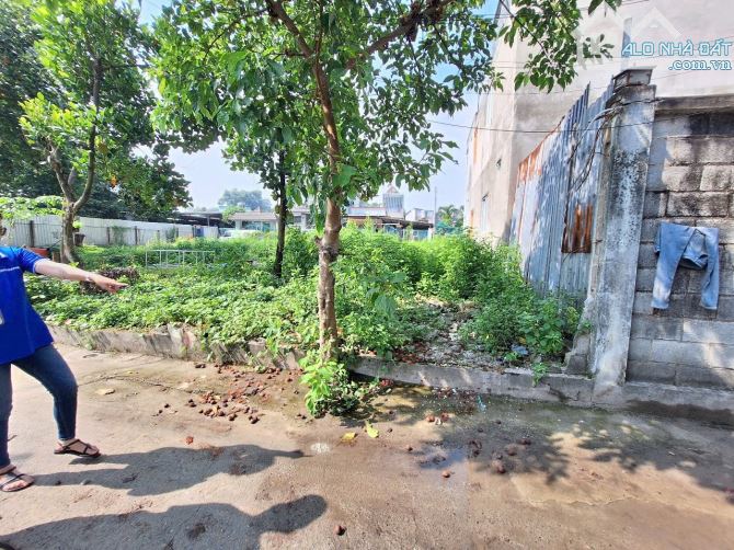 Đất gần khu Biconsi, phường Tân Bình, Tp Dĩ An - 6