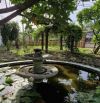 Biệt thự 1266m2 mặt tiền Nguyễn Văn Bứa, xã Xuân Thới Sơn, huyện Hóc Môn, giá 29 tỷ