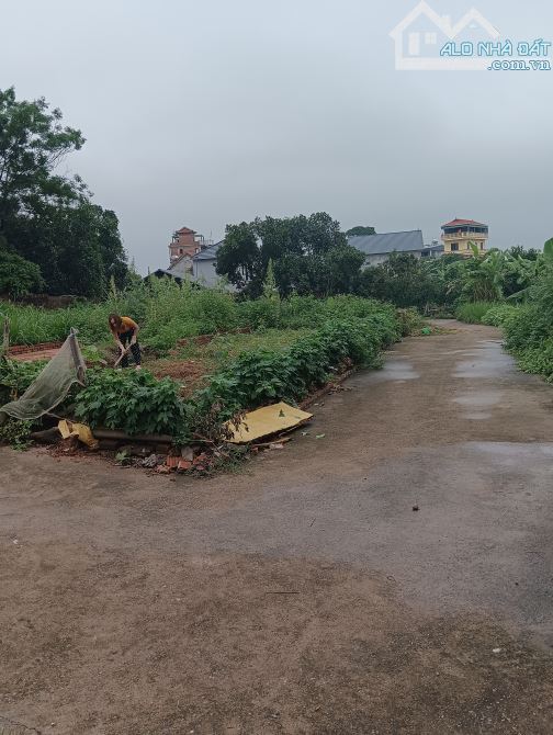 Bán Đất-Xã Minh Trí(Sóc Sơn)-71M2 Full Thổ Cư-1,68Tỷ-Lô Góc Đường Thông Ô Tô