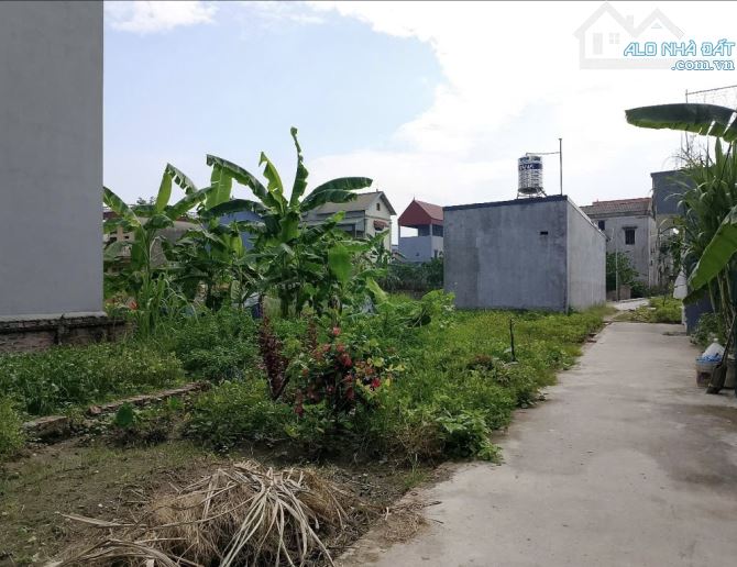 Tài chính nhỏ 2x tỷ đất Xuân Nộn Thư Lâm Hà Nội