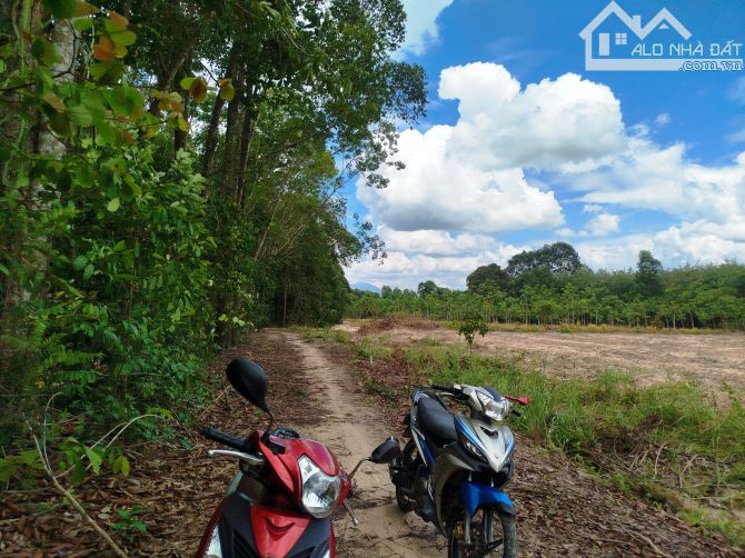 130tr 1công đất Ấp Bàu đưng, Xã Tân Phong, Tân Biên , Tây Ninh 14x70m