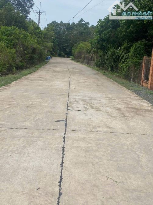 ANH HOÀNG NỢ BÁN GẤP 124M2 GIÁ 400TR NGUYỄN VĂN KHẠ TÂN AN HỘI CỦ CHI HCM