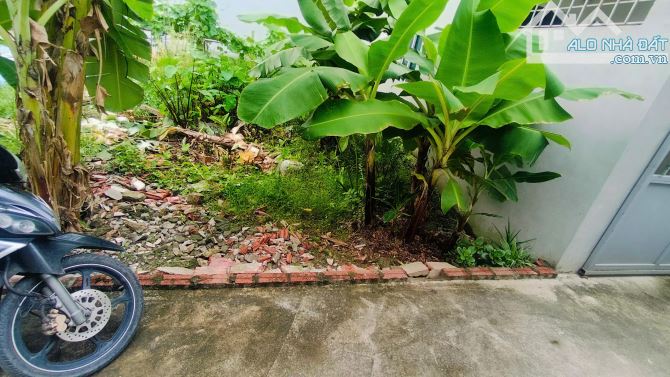 Bán gấp lô đất yên vĩnh kim chung, ngõ nông 1 nhà ra ô tô, sổ vuông đẹp 58m nhỉnh 5 tỷ