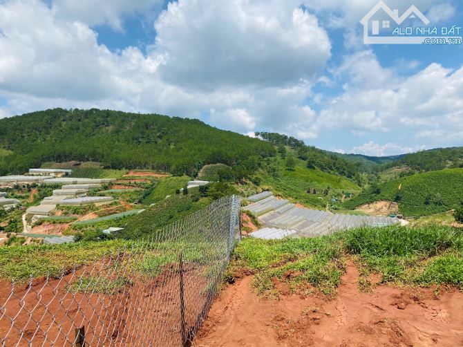 CHỈ 4,95 TỶ - CÓ 262M2 FULL XD - MẶT TIỀN ĐƯỜNG NHỰA MĂNG LIN - VIEW RỪNG THÔNG CỰC ĐẸP