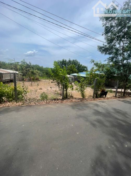 BÁN ĐẤT TẠI XÃ SUỐI RAO – TP.HCM