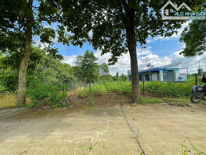 💥2 lô liền kề Thôn 8 CưEbur (phường BMT) - 5 x 22m (Thổ cư 100%) - 690 triệu/ lô