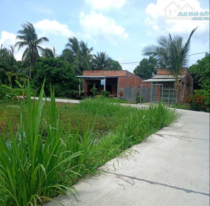 11×32 nhà xã Lợi Bình Nhơn, TP Tân An - 1