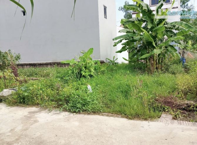 Tài chính nhỏ 2x tỷ đất Xuân Nộn Thư Lâm Hà Nội - 1