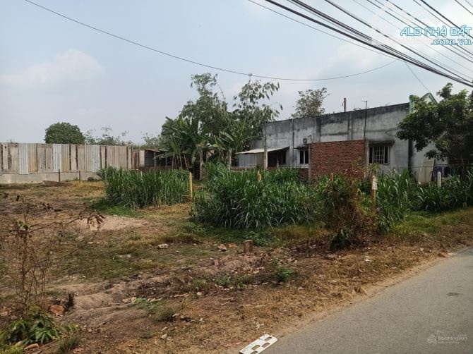 QUÁ NGỘP RỒI CẦN BÁN GẤP LÔ ĐẤT XOAY SỞ TIỀN LÔ ĐẤT ĐẸP NGAY ĐƯỜNG SÔNG LU XÃ HÀO PHÚ HUYỆ - 1