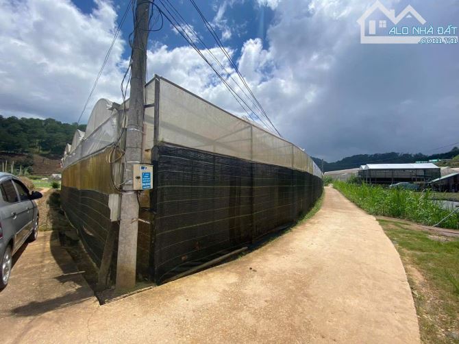 7.300m2 ĐẤT NÔNG NGHIỆP - PHƯỜNG 10 ĐÀ LẠT - GIÁ CHỈ 2,5TR CÓ SẴN NHÀ LỒNG CÔNG NGHỆ CAO - 1