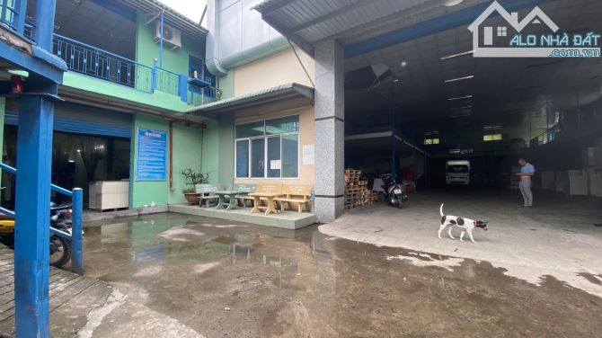 BÁN NHÀ XƯỞNG VÀ TOÀN BỘ THƯƠNG HIỆU CTy BAO BÌ LÂU NĂM – 1200m² ĐẤT Ở ĐÔ THỊ - 1