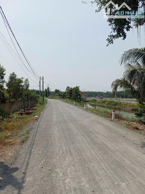 Bán 5538m2 Đất Trồng Cây Tại Xã Bình Lợi Huyện Bình Chánh Giá 20 Tỷ Thương Lượng - 1
