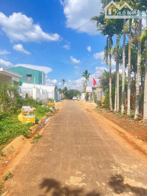 BÁN ĐẤT PHƯỜNG Tân An EATU BMT, ĐƯỜNG NHỰA 10X60 TC 135M² ĐƯỜNG NHỰA 2ÔTÔ DÂN CƯ HIỆN HỮU, - 1