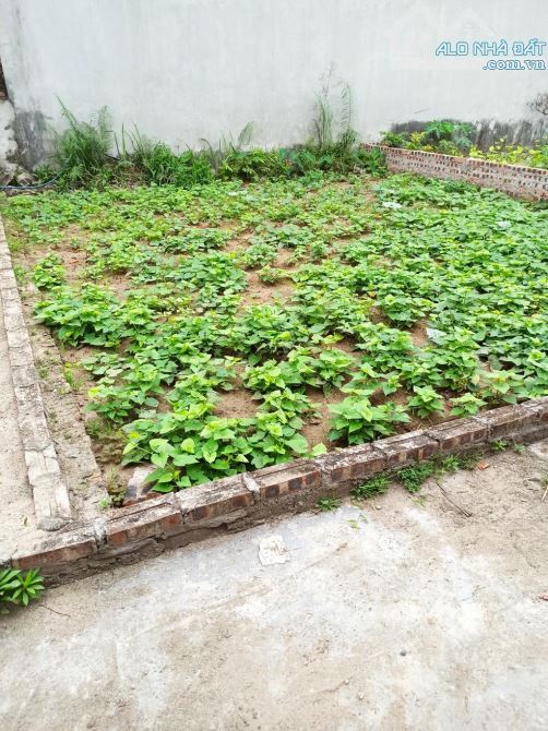 🌻 DƯƠNG XÁ - GIA LÂM - ĐẤT PHÂN LÔ - THÔNG SỐ ĐẸP - GIÁ CHỈ 3 TỶ NHỈNH - 2