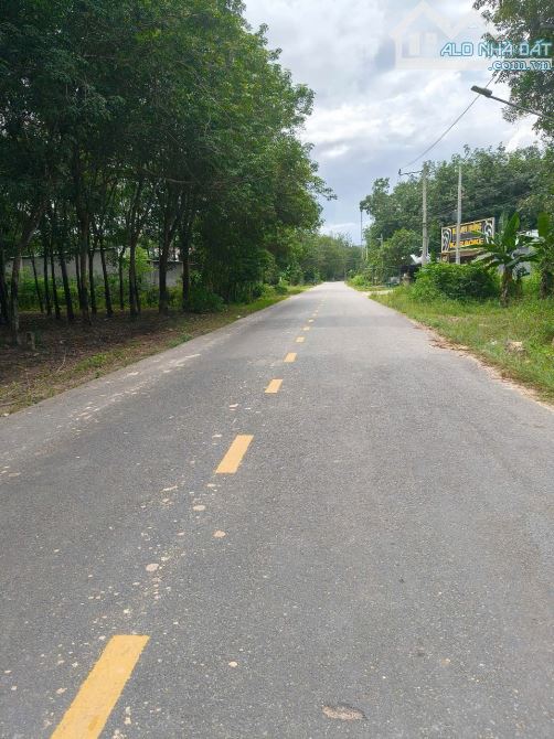 BÁN ĐẤT MT DH717, LONG HOÀ, DẦU TIẾNG, DT:35.8x100, NỞ HẬU 62M, TC300M2, SHR, GIÁ 6,5 TỶ - 2