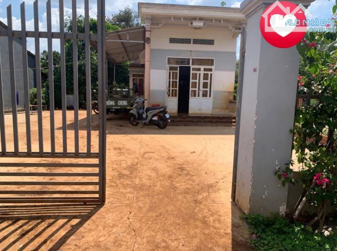 Bán đất tặng căn nhà c4 hẻm cấp 1 Nguyễn Xuân Nguyên_Nao A không quy hoạch - 2