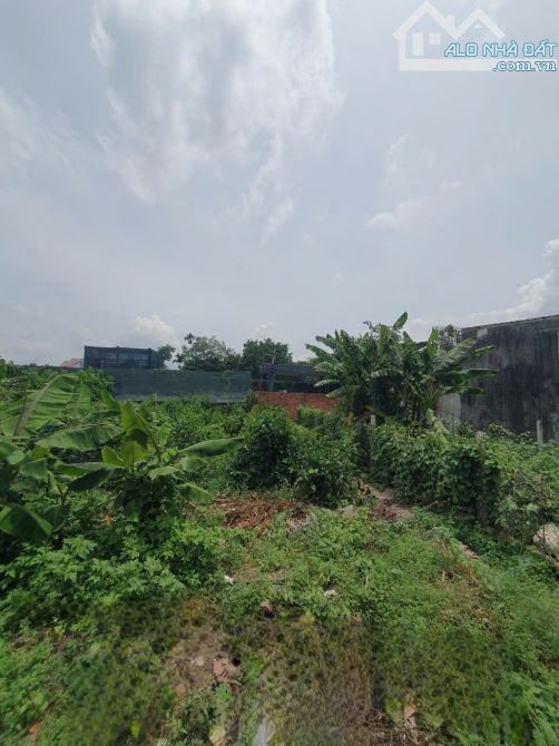 2ty950 TL 87,8m2 đất MT đường Bình Nhâm 09 P.Bình Nhâm Tp Thuận An - 2