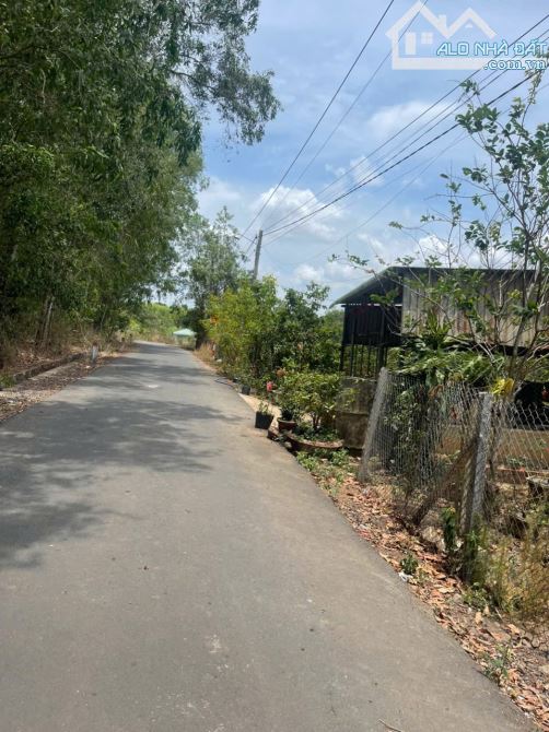 BÁN ĐẤT TẠI XÃ SUỐI RAO – TP.HCM - 2