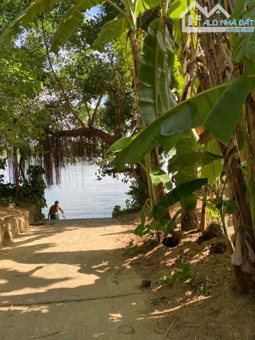 ** mảnh đất  Rất đáng để đầu tư tạo dòng tiền và sinh lãi kiệt Bùi Thị Xuângần sông Hương - 2