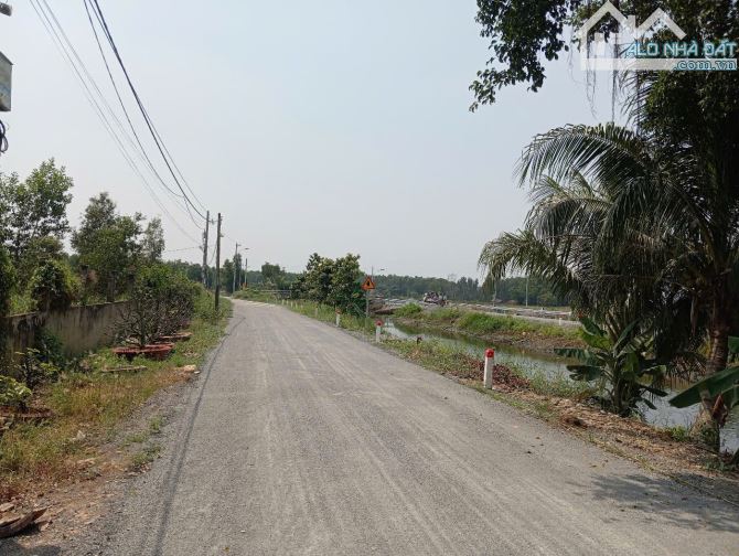 Bán 5538m2 Đất Trồng Cây Tại Xã Bình Lợi Huyện Bình Chánh Giá 20 Tỷ Thương Lượng - 2