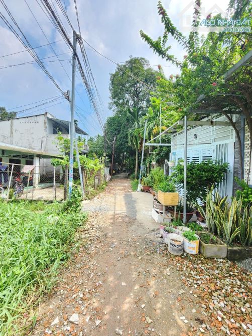 4ty9 TL 468,6m2 11.88x40 gần cầu Phú Long , đất gần Sông Sài Gòn P.Lái Thiêu Tp Thuận An - 2