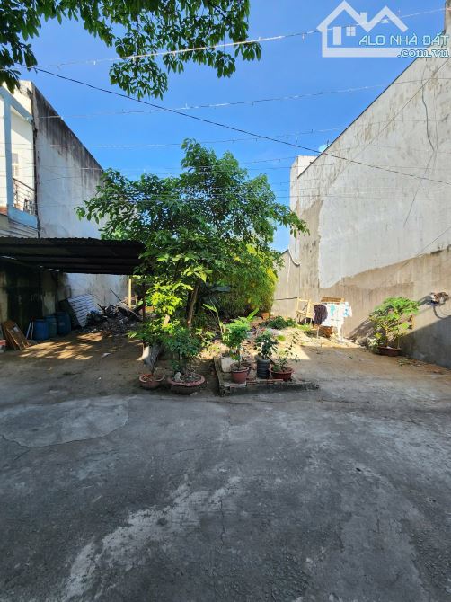 3ty150 TL đất 92,4m2  gần ngã tư Chiêu Liêu 300m, p.Tân Đông Hiệp, Tp.Dĩ An - 2