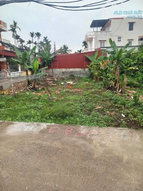 Đất trung tâm quận Đồ Sơn ngõ oto chỉ hơn 1 tỷ - 2