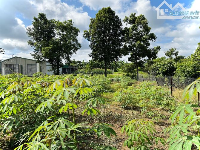 💥2 lô liền kề Thôn 8 CưEbur (phường BMT) - 5 x 22m (Thổ cư 100%) - 690 triệu/ lô - 2