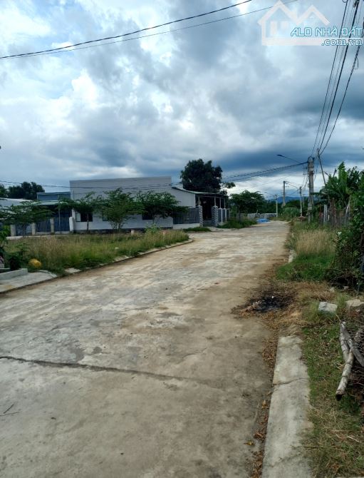 🏠Bán đất dt 118m2 khu vực QHDC phò an ,nhơn hưng,tx an nhơn,Bình Định - 3