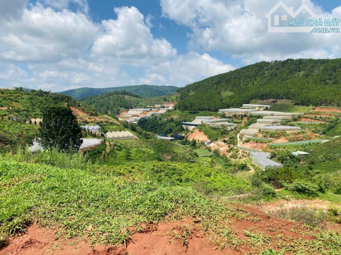CHỈ 4,95 TỶ - CÓ 262M2 FULL XD - MẶT TIỀN ĐƯỜNG NHỰA MĂNG LIN - VIEW RỪNG THÔNG CỰC ĐẸP - 3