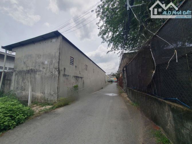 2ty950 TL 87,8m2 đất MT đường Bình Nhâm 09 P.Bình Nhâm Tp Thuận An - 3